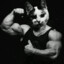 GatoChad
