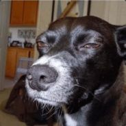 是时候暴走一波了