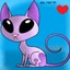Mr.CaT