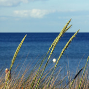 上上下下左左右右