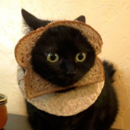 котик+хлебушек