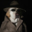 Agent Blud