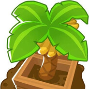 Banana Farm