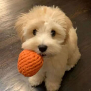 今天有好好吃早餐呢