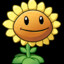 Jony_Sunflower