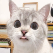 おい地獄さ行ぐんだで