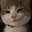 Orange meaw