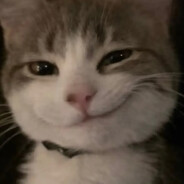 Orange meaw