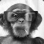 smokingmonkee