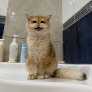 𝔻𝕠𝕡𝕡𝟛𝕝𝕥𝕕