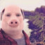 John Pork