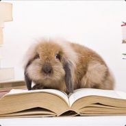 千里江陵一日还