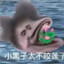 坤坤的芝士雪豹