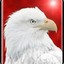 WhiteEagle