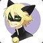 Chat Noir