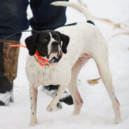 Woapalana - steam id 76561198124988860