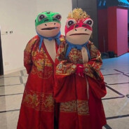 只会打野牛，冲