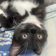 闲来无事打一把