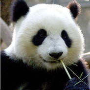 外G+天坑=已卸载