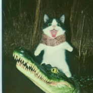 三块钱搭你到巴西