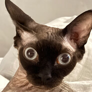 Traxomaster - steam id 76561198012612840