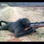 Sniper Monkey