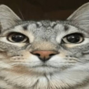 Smolar