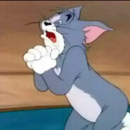 优雅全险泥头车主