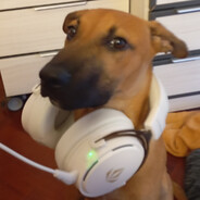 Aimar - steam id 76561199860469698