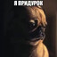 бодрик