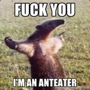 Anteater