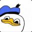 DOLAN DUK