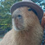 Capy