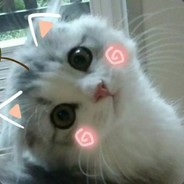 璐某人是个魔鬼