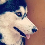 不是短板，是桶底的洞