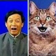 我叫宋成苟 就爱夏碧婉