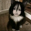 kioto-