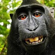 nahumperezmelian1122009