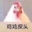 半岛饭盒
