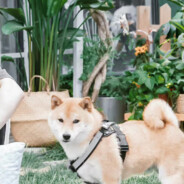 每天早上都被自己帅醒