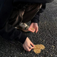 河南省第一深情