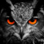 ✪ Owly ✪™