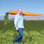 Man with big carrot
