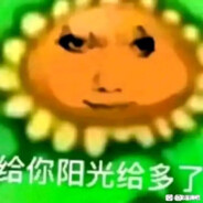 四川最强顶尖向日葵