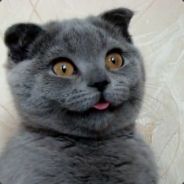 Kjanx2 - steam id 76561197962491980