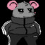 compan