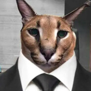 Bingus
