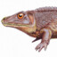 Zygosaurus