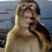 爱吃火巴味锅鸡