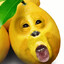 L_E_M_O_N
